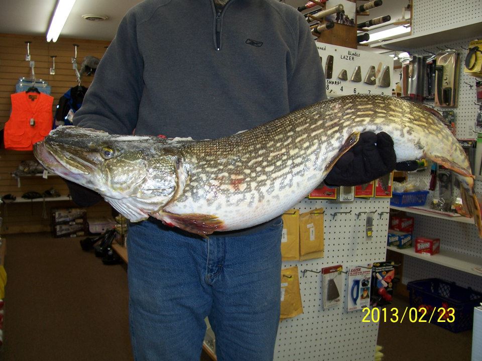 fishing planet, michigan northern pike