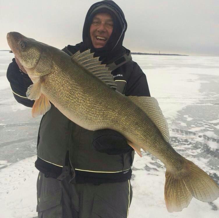 Huge Lake Erie Walleye – Michigan Fishing Report