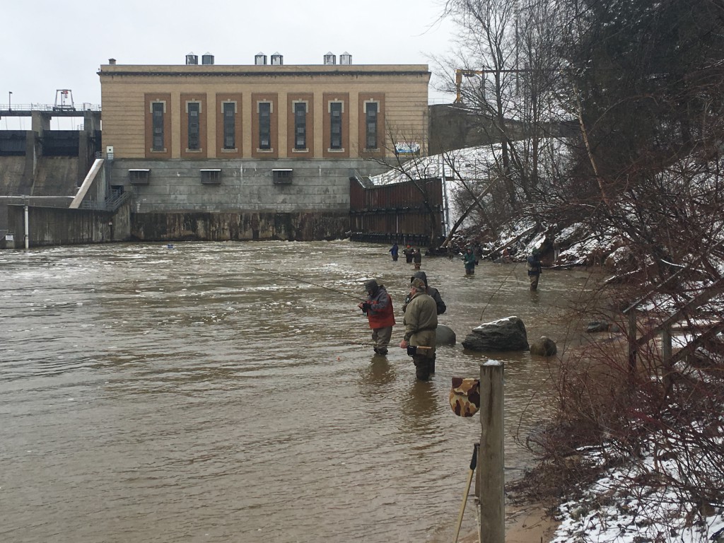 Tippy Dam Steelhead fishing