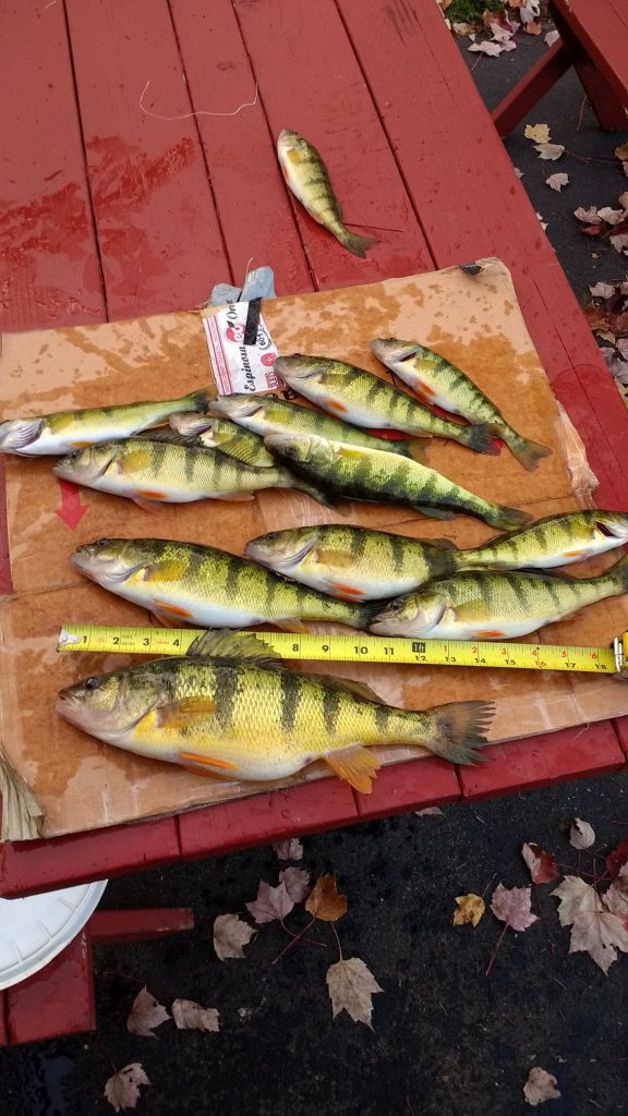 portage_lake Michigan Fishing Report
